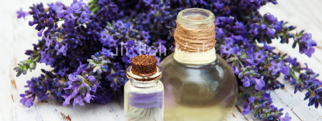 Lavanta Yağı Kullanım Alanları ve Faydaları Lavanta Yağı Kullanım Alanları ve Faydaları