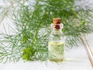 Dereotu Yağı Kullanım Alanları ve Faydaları