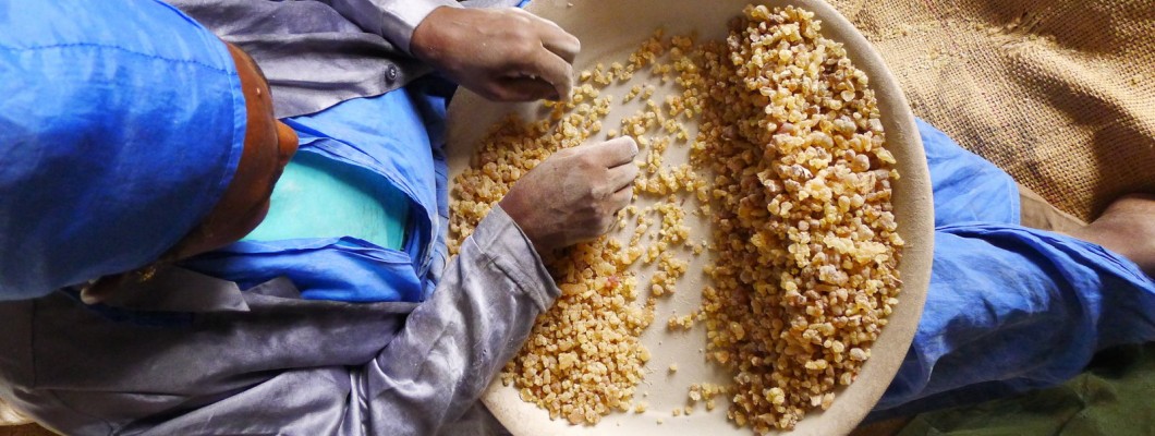 Sağlığınızı Korumak İster Misiniz? Günlük Esansiyel Yağı Tariflerini Mutlaka Denemelisiniz