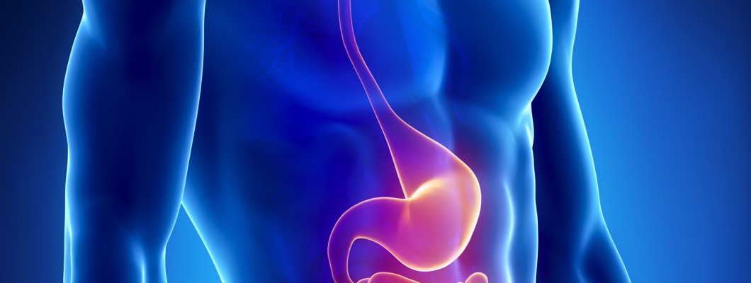 Zencefil ve Zerdeçal Uçucu Yağlarının Gastro Etkileri Nelerdir? Zencefil ve Zerdeçal Uçucu Yağlarının Gastro Etkileri Nelerdir?