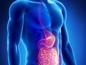 Zencefil ve Zerdeçal Uçucu Yağlarının Gastro Etkileri Nelerdir?