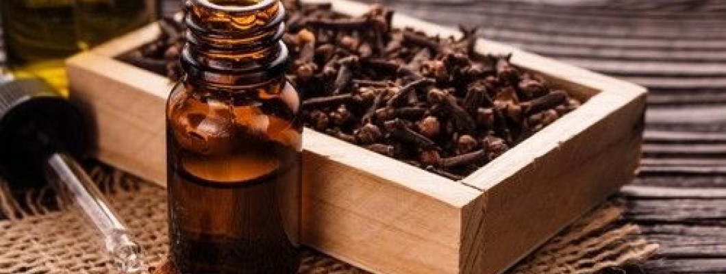 Karanfil Esansiyel Yağı ile Bağışıklık Sisteminizi Güçlendirin Karanfil Esansiyel Yağı ile Bağışıklık Sisteminizi Güçlendirin