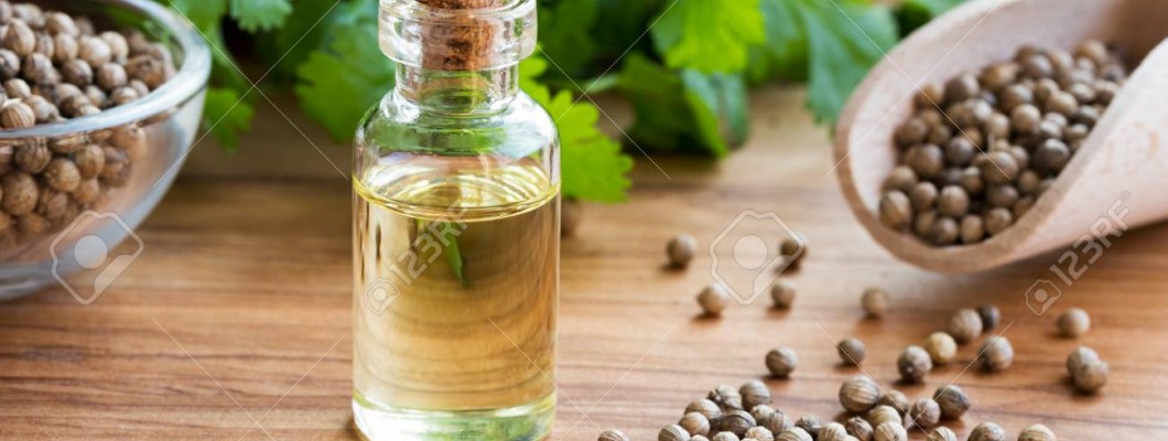 Kişniş Yağı Kullanım Alanları ve Faydaları Kişniş Yağı Kullanım Alanları ve Faydaları