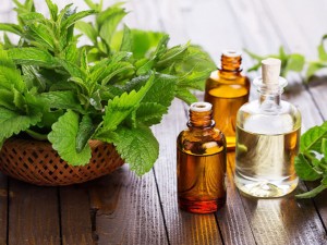 Paçuli Yağı Kullanımları ve Faydaları