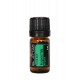 Bergamot Yağı EL ATTAR PREMIUM Bergamot Yağı EL ATTAR PREMIUM