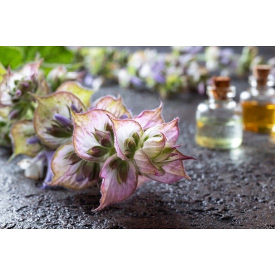 Misk Adaçayı Yağı EL ATTAR PREMIUM Misk Adaçayı Yağı EL ATTAR PREMIUM