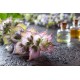 Misk Adaçayı Yağı EL ATTAR PREMIUM Misk Adaçayı Yağı EL ATTAR PREMIUM