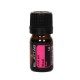 Niaouli Yağı (niaoli) EL ATTAR PREMIUM Niaouli Yağı (niaoli) EL ATTAR PREMIUM