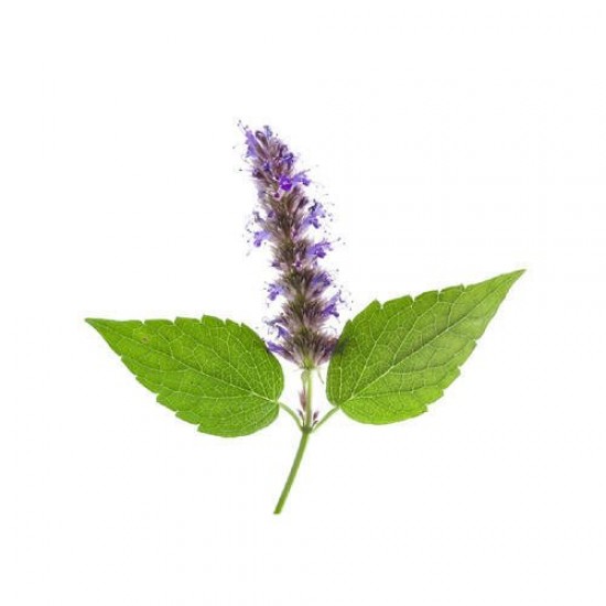 Paçuli Yağı (tefarik) EL ATTAR PREMIUM Paçuli Yağı (tefarik) EL ATTAR PREMIUM