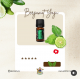 Bergamot Yağı EL ATTAR PREMIUM Bergamot Yağı EL ATTAR PREMIUM