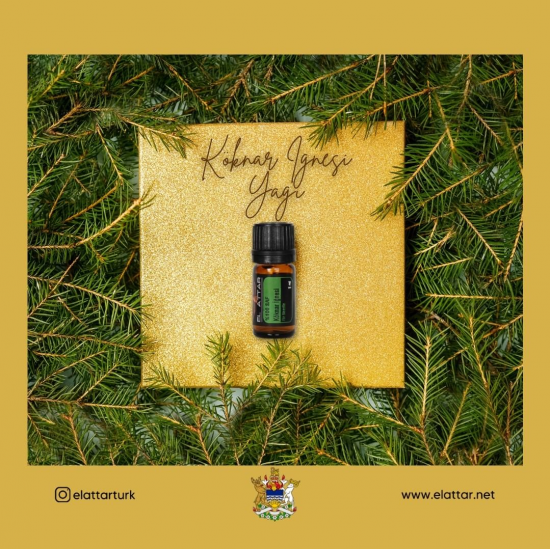 Köknar İğnesi Yağı EL ATTAR PREMIUM Köknar İğnesi Yağı EL ATTAR PREMIUM