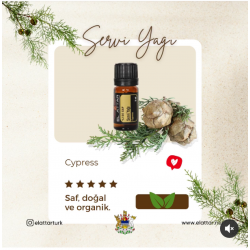 Selvi (servi) Yağı EL ATTAR PREMIUM