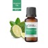 Bergamot Yağı 20ml