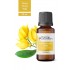 Ylang Ylang Yağı 20ml