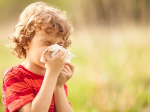 Saman Nezlesi (Alerjik Rinit) Tedavisinde Aromaterapi: Uçucu Yağlar