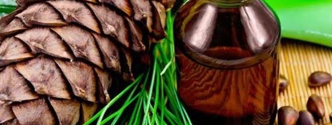 Sedir Ağacı Yağı Kullanım Alanları ve Faydaları