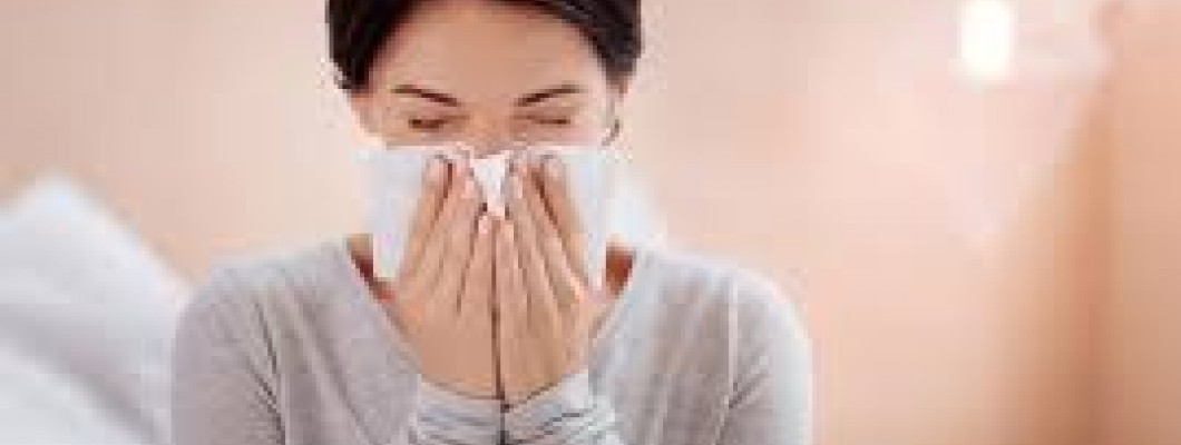 Okaliptüs Yağı İle Solunum Sistemi Rahatsızlıklarını Hafifletin Okaliptüs Yağı İle Solunum Sistemi Rahatsızlıklarını Hafifletin