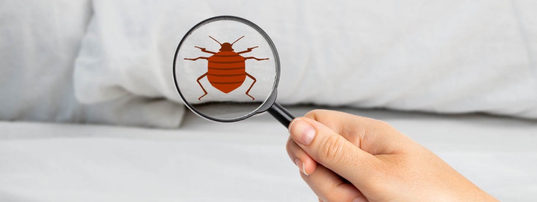 Uçucu Yağlarla Ev Yapımı Yatak Spreyi Nasıl Yapılır?
