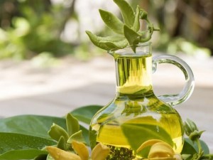 Ylang Ylang Yağı Kullanımları ve Faydaları