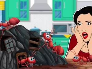 Karınca İstilasına Karşı Nane Esansiyel Yağı
