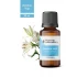 Zambak Yağı 20ml